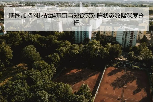 斯图加特网球战维基奇与郑钦文对阵状态数据深度分析 - loltouzhu